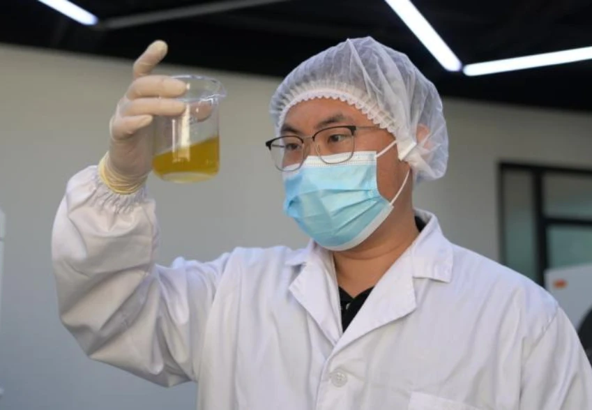 ฝ่ายวิจัยและพัฒนา (R&D)